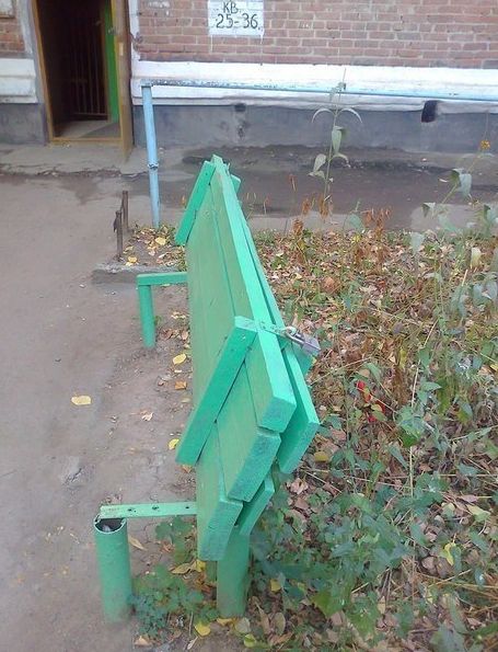 Свежие картинки из сети