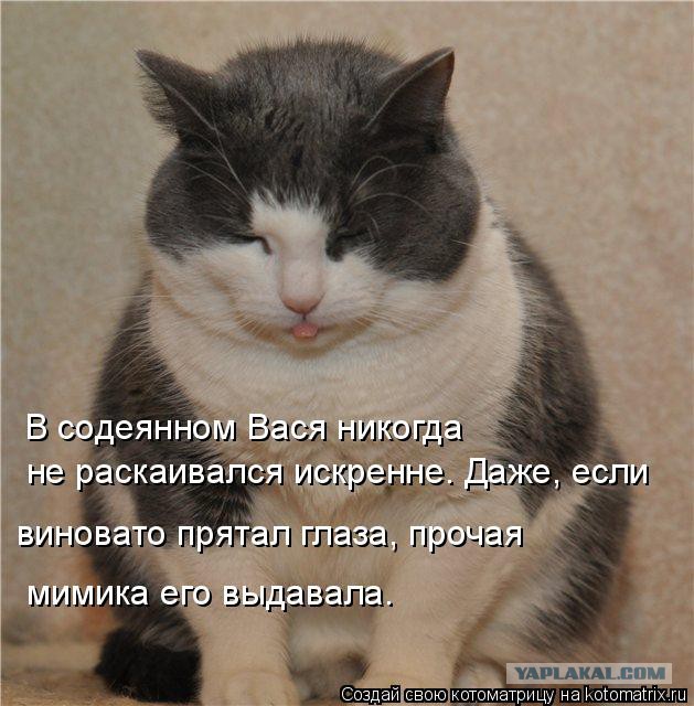 Как Пишется Раскаялся Или Расскаялся