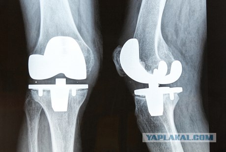 В Египте открыли некрополь Серапеум