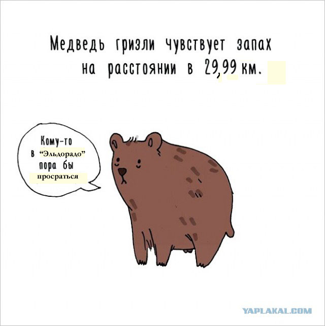 Просто факты о животных