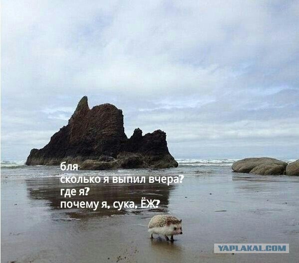 ЯПлакал в лицах