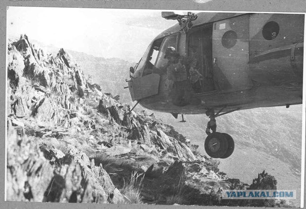 Когда скорпионы страшнее пуль