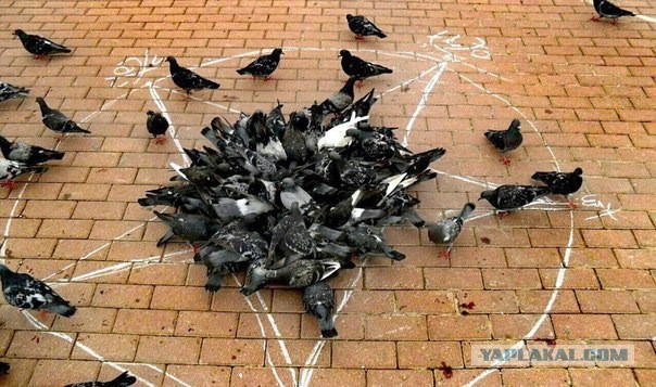 Фотографии из соцсетей.