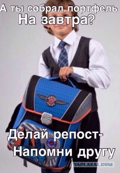 И этим дурам доверяют воспитание детей!