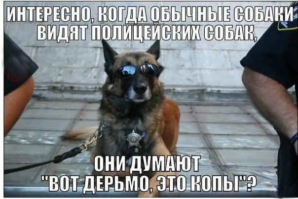 Картинки на пятницу