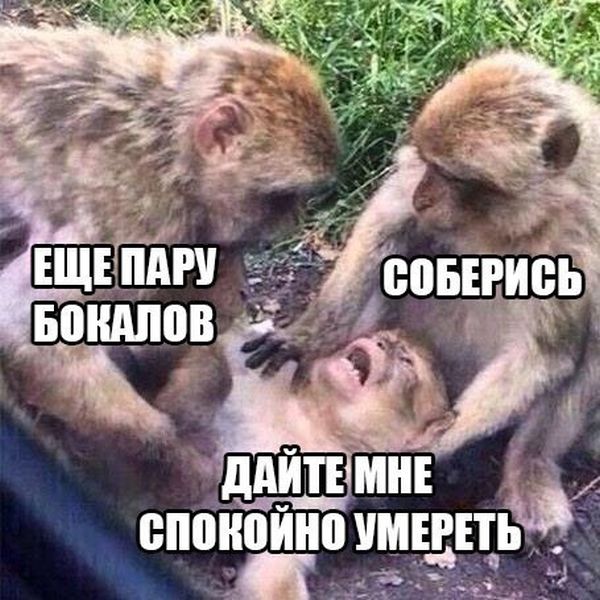 Веселые картинки.