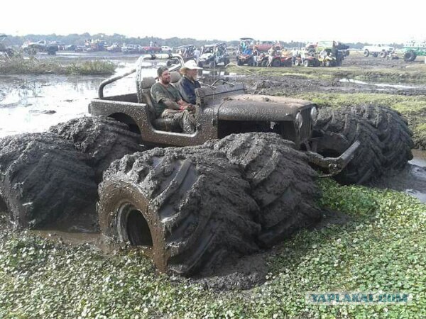 Свежая подборка автоприколов