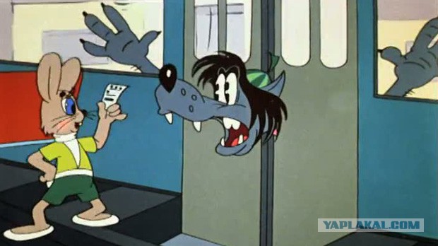 20 животных попавших в затруднительную ситуацию