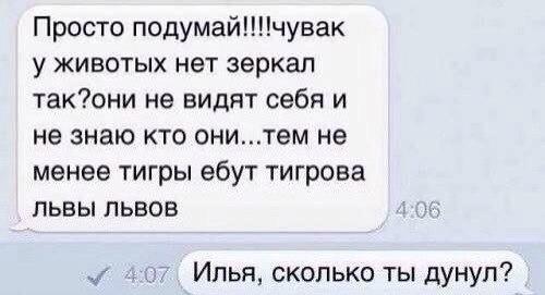 Ужасы и приколы из соцсетей 18+