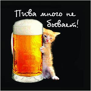 5 августа - международный день пива
