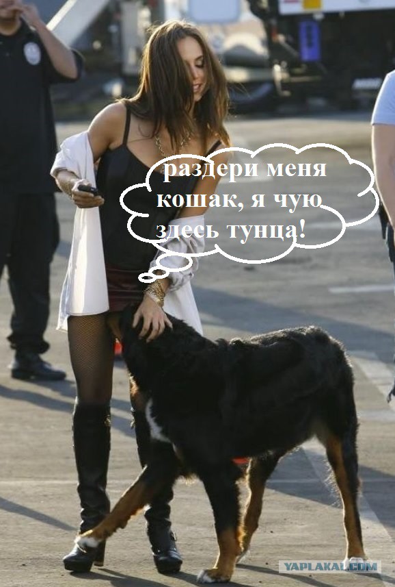 Порция картинок из сети
