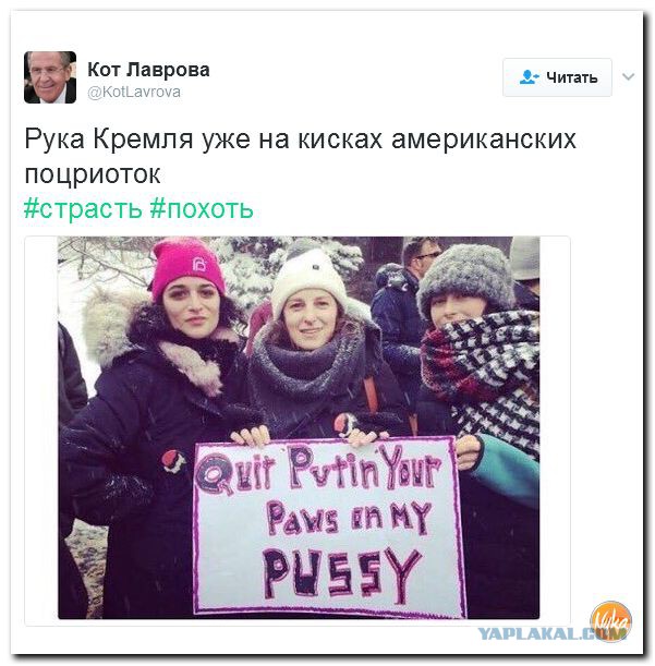 Политота в картинках