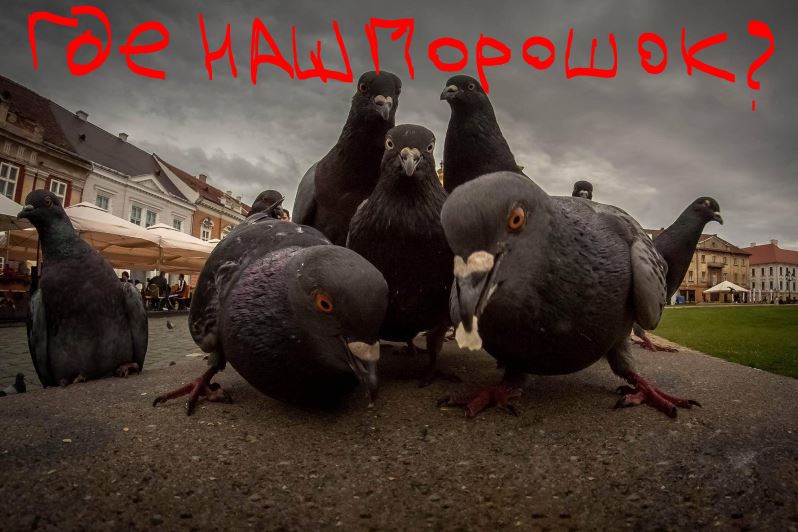 yaplakal