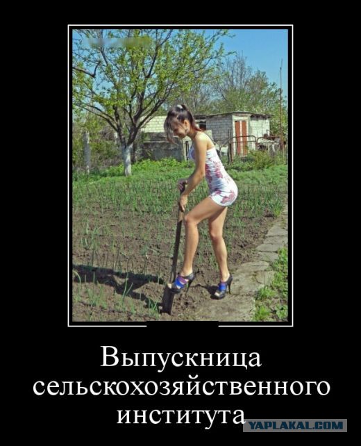 Чутка Демотиваторов на ПН