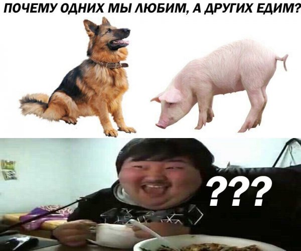 Нестандартный юмор