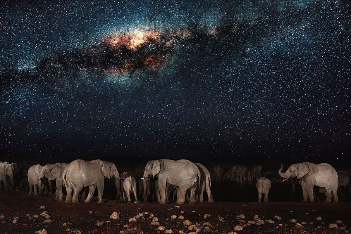 Похожие проекты на звезды в африке