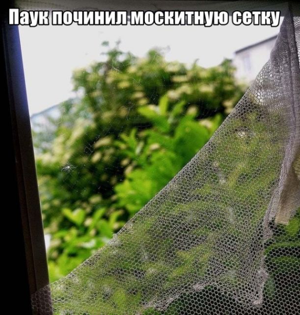 Картинки разные, хорошие и не очень