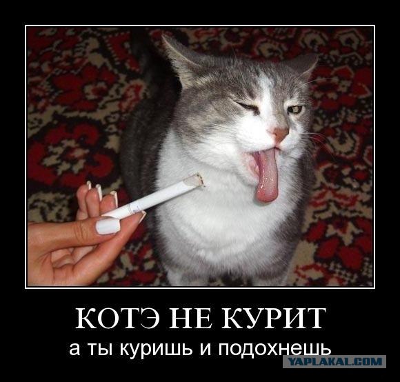 Бросить курить легко