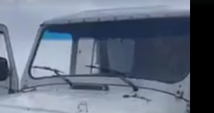 Каждый год одно и то же