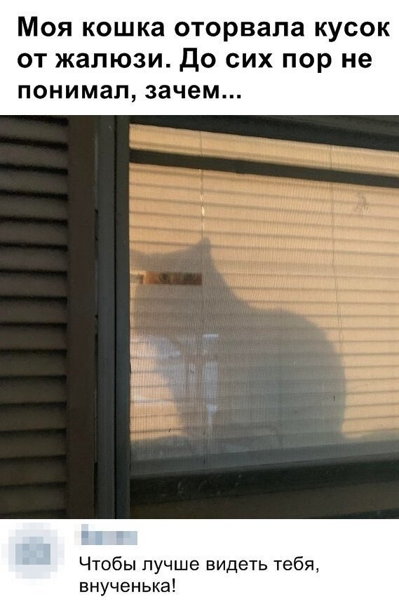 Картинки и мемы для настроения