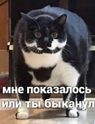 Так себе картинки 24.05.21
