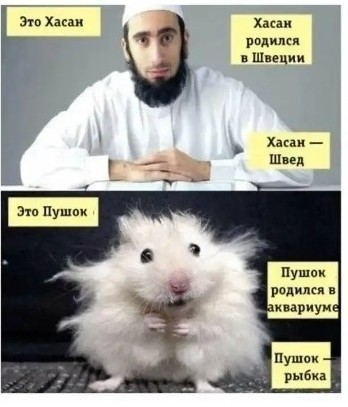 Потерял работу на заводе и стал самым быстрорастущим тикток-блогером в мире: история «разрушителя лайфхаков» Хаби Лейма