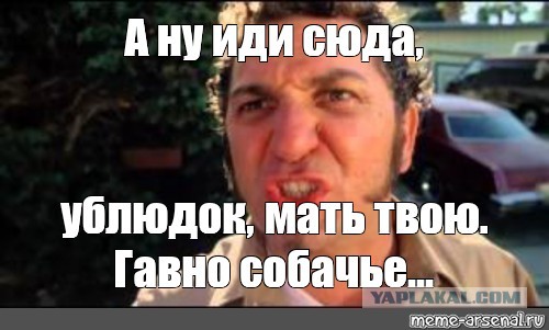 Весна шагает по стране и кто-то от любви уже берега потерял!