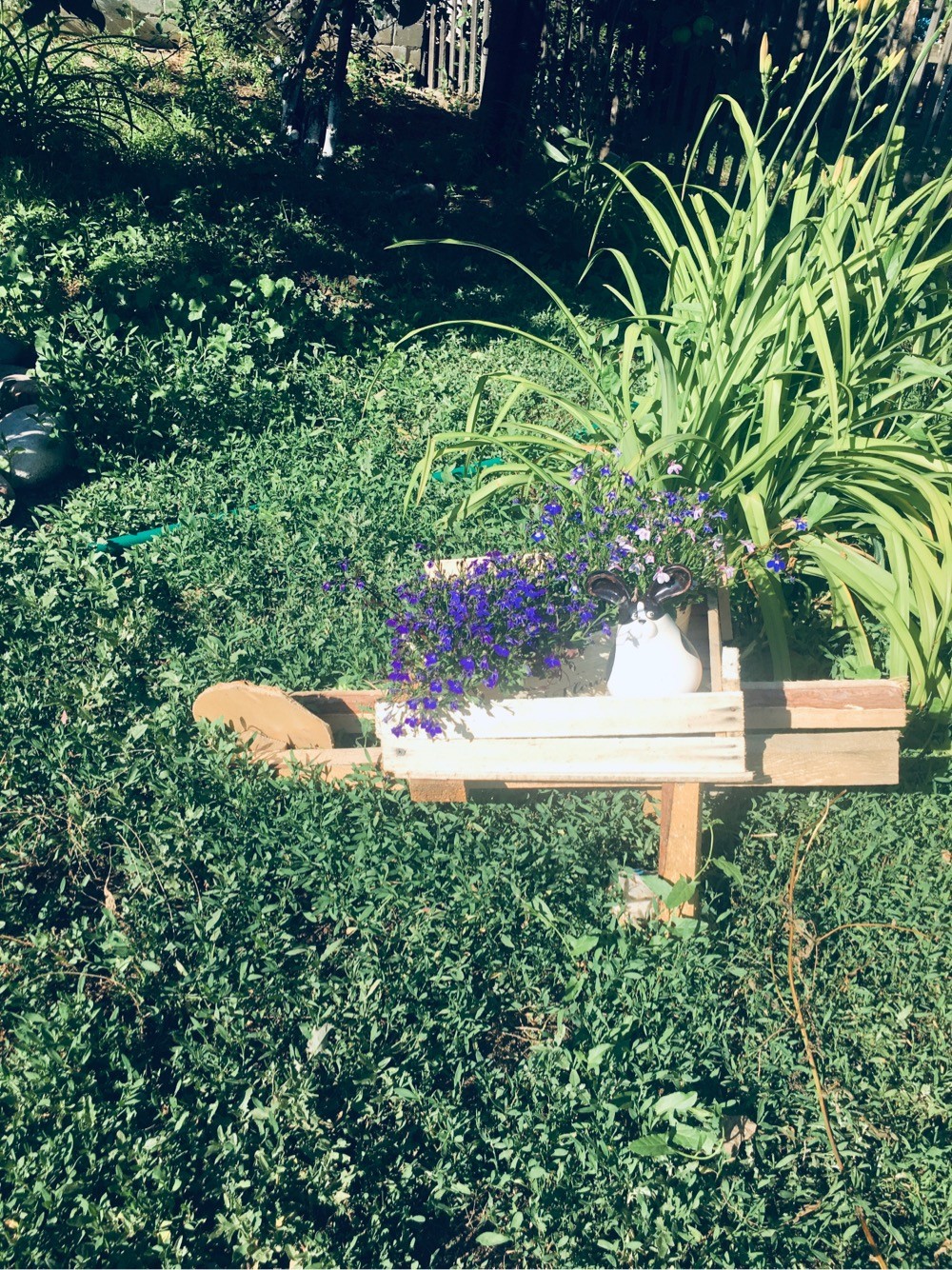 Купить Сад Любитель 2