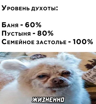 Картинки и мемы для настроения - 15