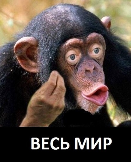 Капитализм, счастье, зае*ись (с) Мокрый жеребёнок