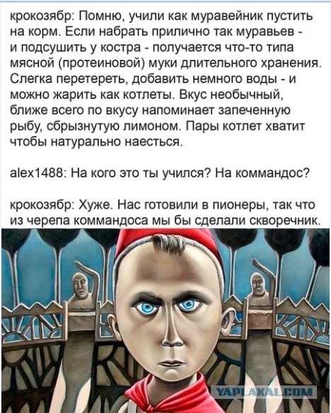 В российские школы собираются вернуть "пионерские" значки"