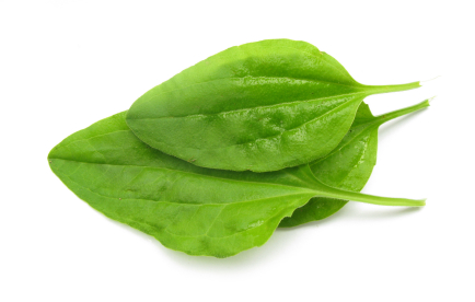 Коллективный разум, посоветуй, а?