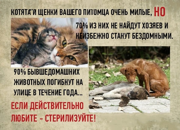 «Заботливые» хозяева