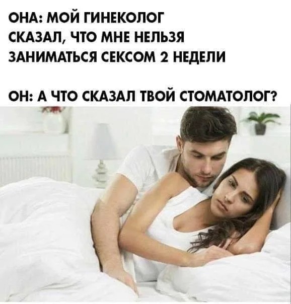 Весёлый полтишок 24.12.23