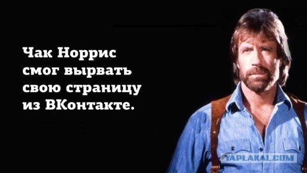 Вечер понедельник самое время подеградировать