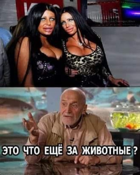 Картинки разные с надписями и без