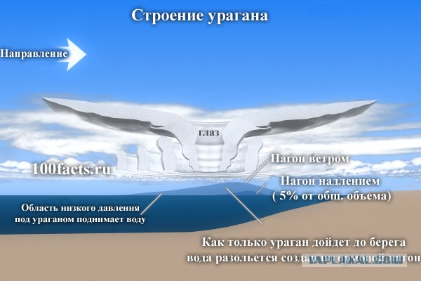 Американцы сняли видео с эпицентра торнадо