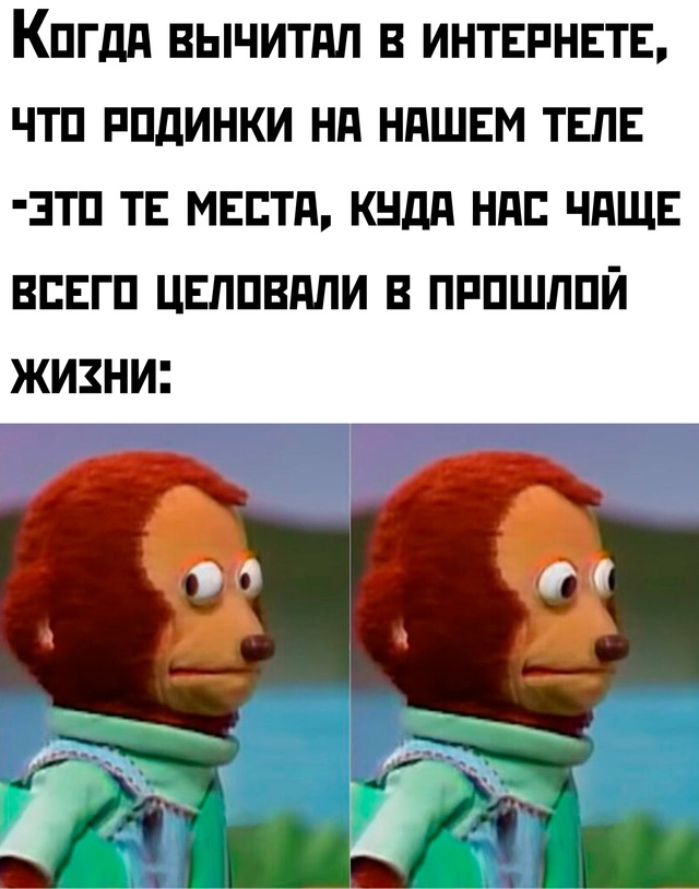 Весёлый полтишок 23.01.25
