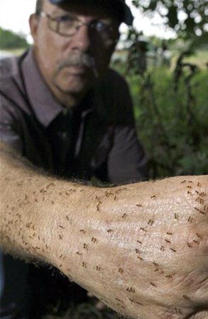 Вот так нужно петь в 5 лет.