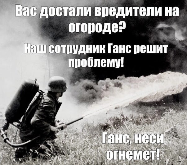 Эффектно.