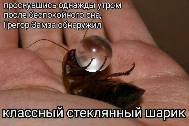 Картинки для деградации 123 (разной степени свежести)