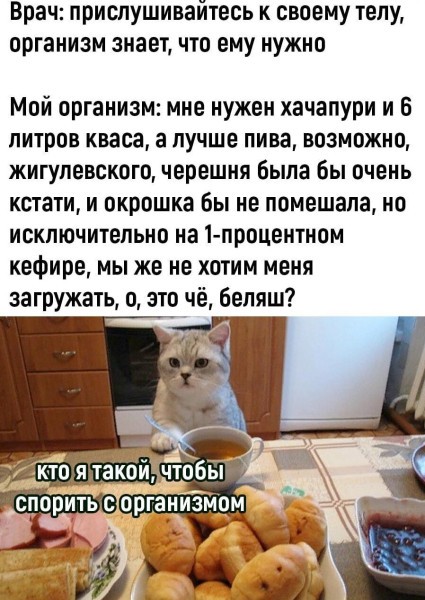 Картинки для деградации 237 (разной степени свежести)