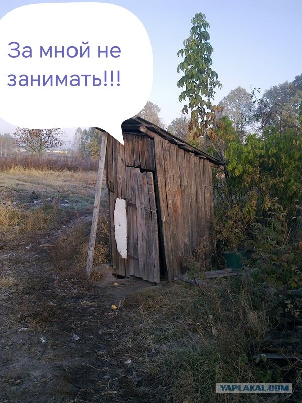 ДНК-тест