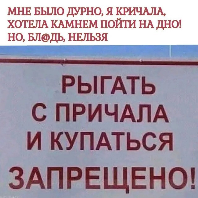 Веселые картинки в пятницу (21.08)