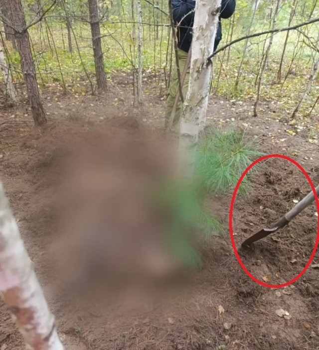 Медведь насмерть загрыз двух женщин в Красноярском крае