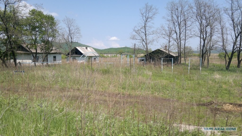 ворон заброшенная застава. ворон заброшенная застава. брошенные погранзаставы. талый лагерь магадан. заброшенная погранзастава калининград.