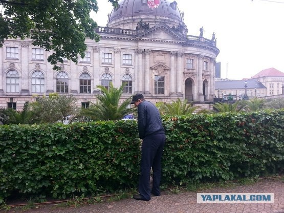 Визуализируем свои ники!