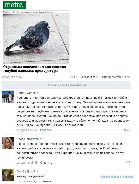 Смешные комментарии из социальных сетей