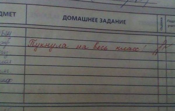 Записи в Дневниках