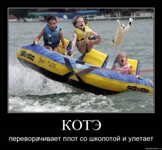 Позитивные картинки и комментарии.